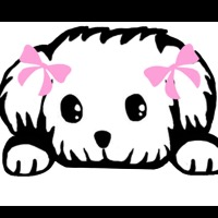 Piggy Tails Pet Spa & More - Pet Services in Las Vegas