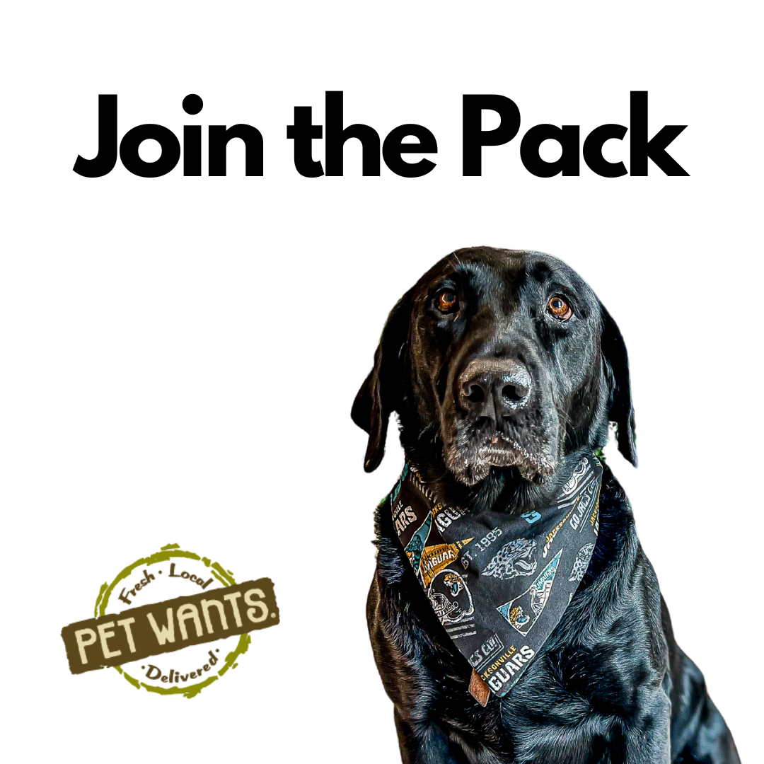 Pet wants jax beach fresh local pet food