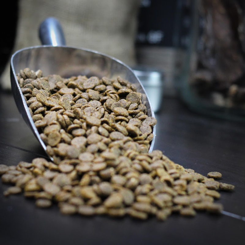 Salmon & Brown Rice Recipe Dog Food - All Life Stages