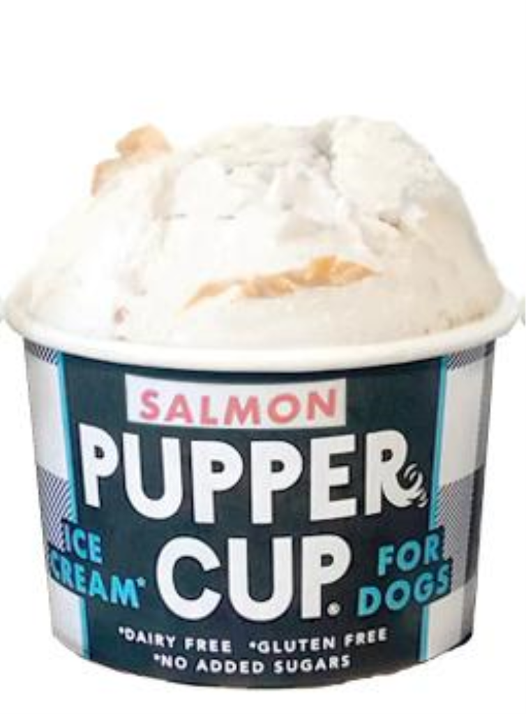 The Pupper Cup Salmon Ice Cream for Dogs, 3-oz