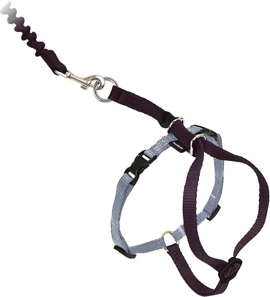 PetSafe Come With Me Kitty Harness & Bungee Cat Leash, Black/Silver, Medium