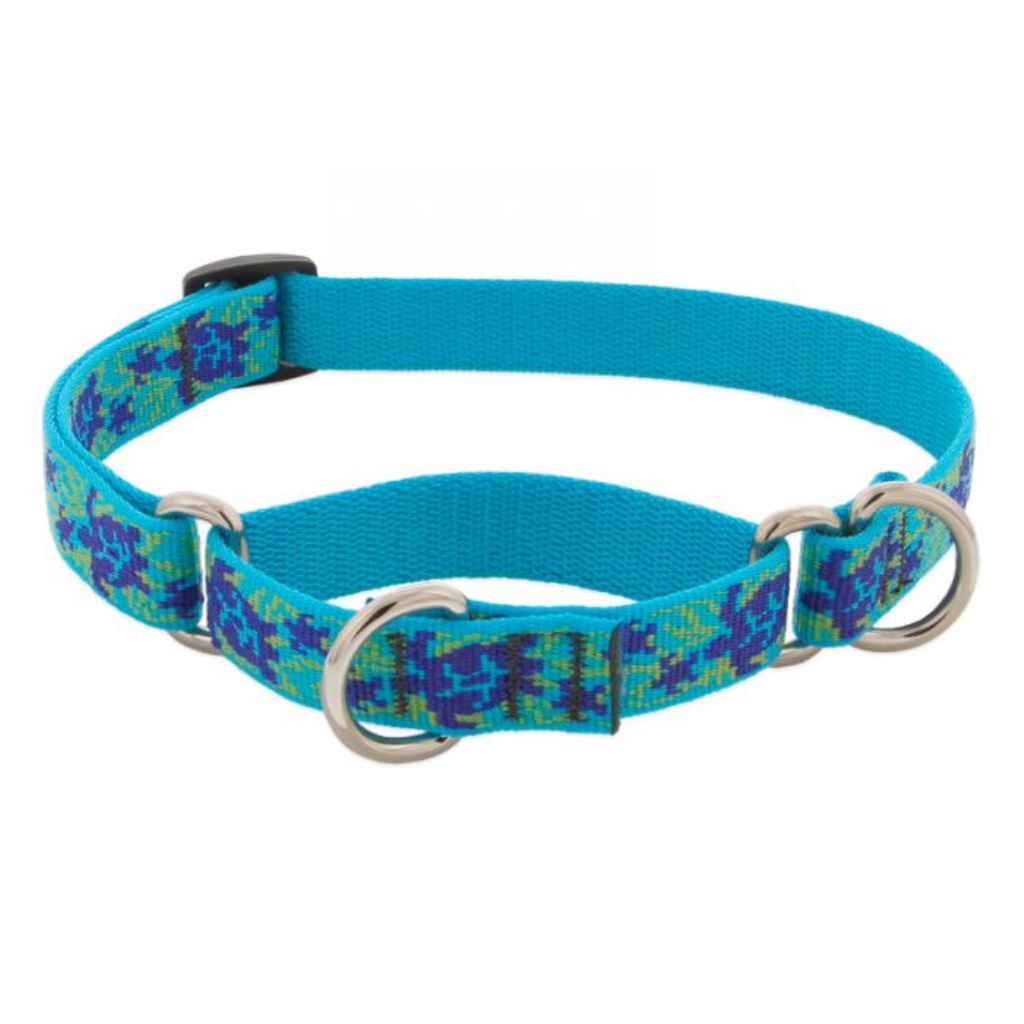 Lupine Pet Original Designs Martingale Dog Collar, Turtle Reef, 3/4-in x 14-20-in