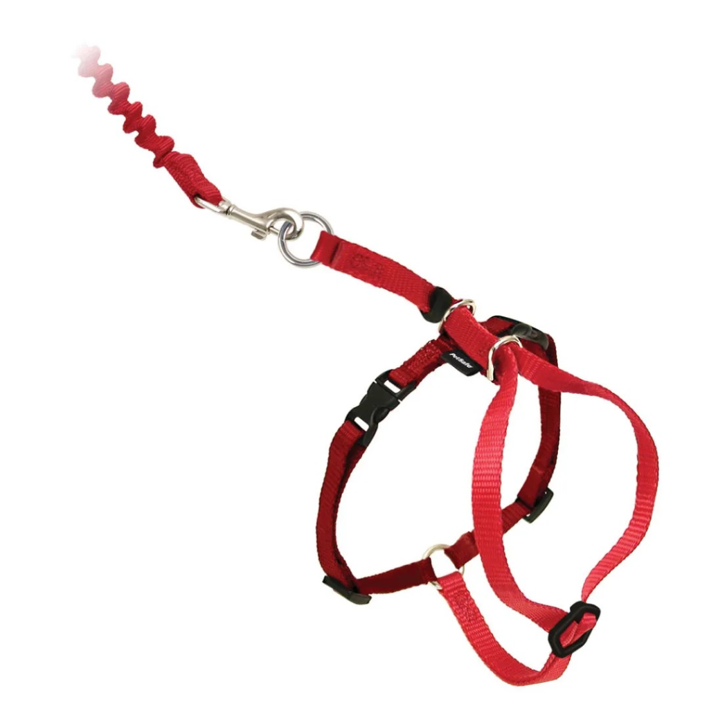 PetSafe Come With Me Kitty Harness & Bungee Cat Leash, Red/Black, Small