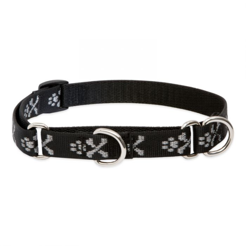 Lupine Pet Original Designs Martingale Dog Collar, Bling Bonz, 3/4-in x 10-14-in