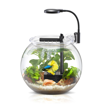 Product preview
