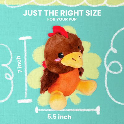 Product preview