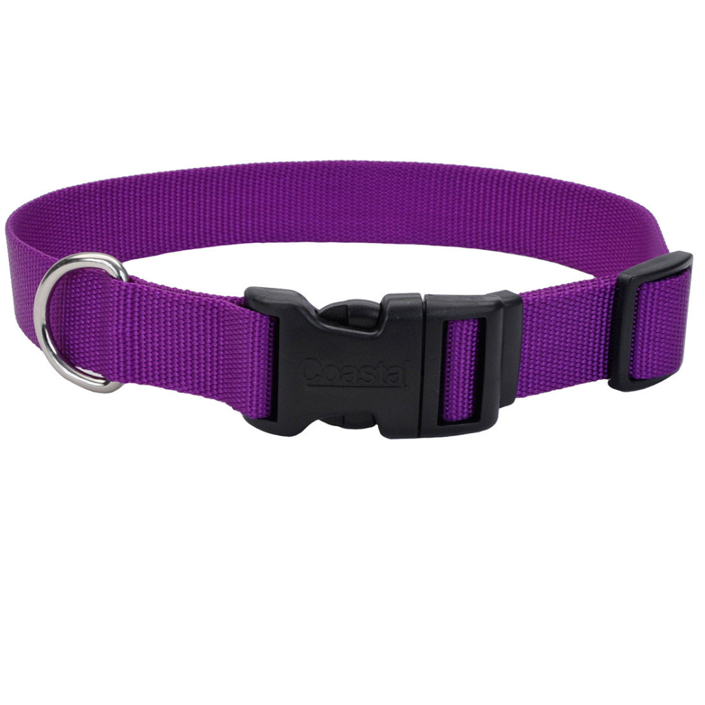 Coastal Adjustable Nylon Collar with Tuff Buckle for Dogs, Purple, 1-in Nylon x 14-in-20-in Neck Girth