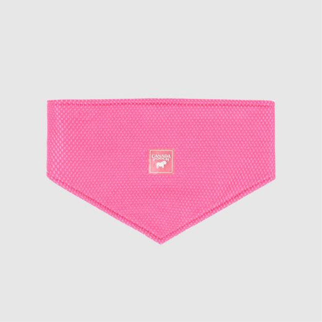 Canada Pooch Dog Cooling Bandana, Neon Pink, Small