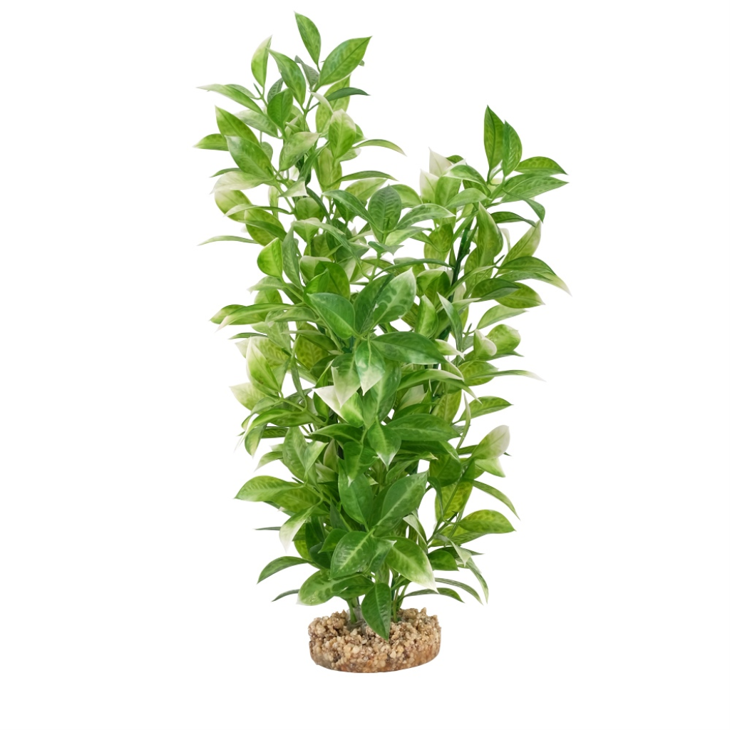 Fluval Aqualife White-Tipped Ludwigia, 14-in