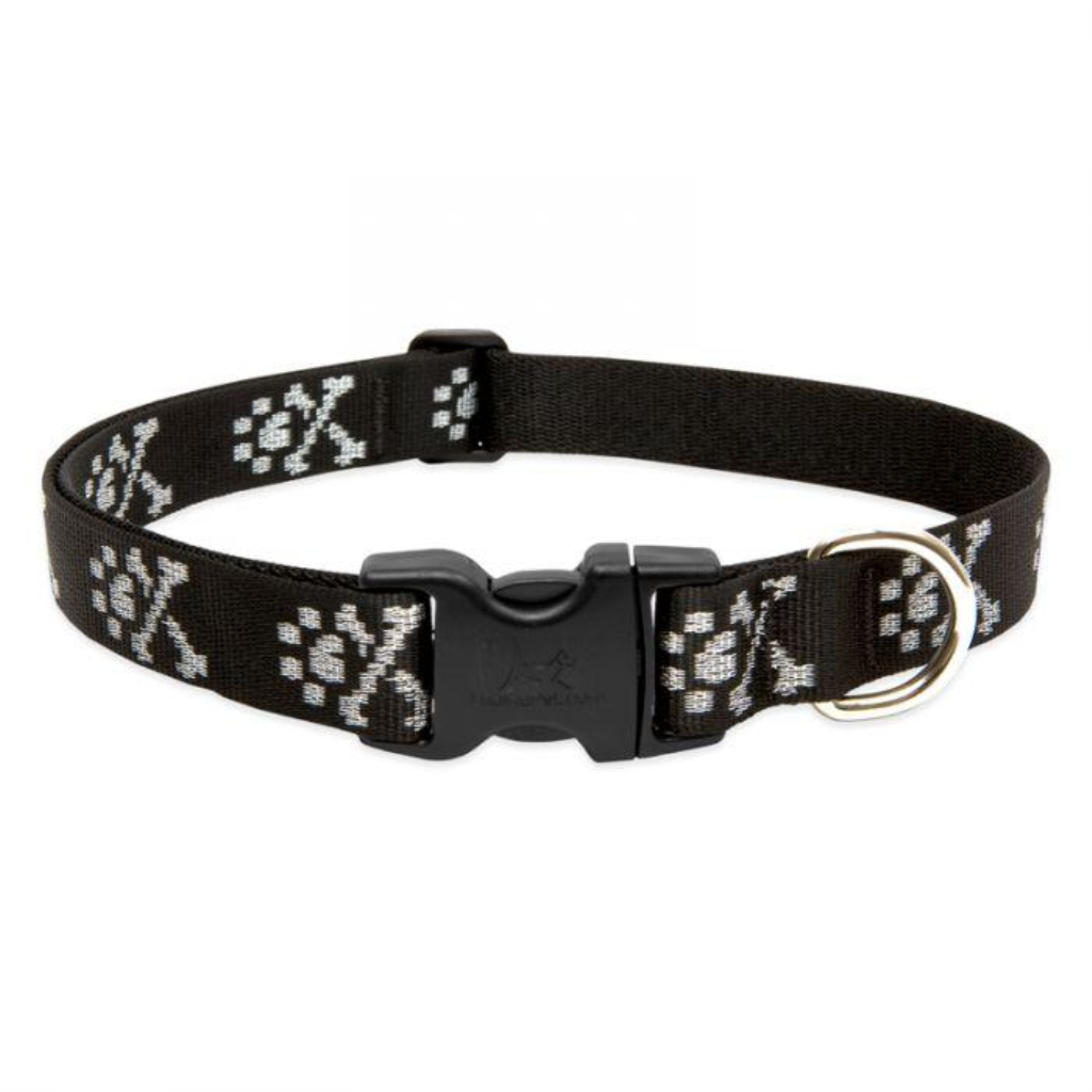 Lupine Pet Original Designs Adjustable Dog Collar, Bling Bonz, 1-in x 16-28-in