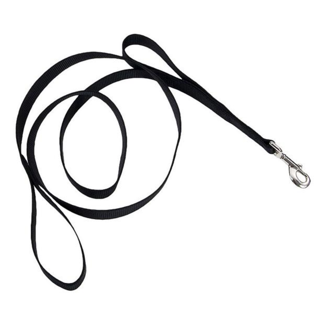 Coastal Loops 2 Double Handle Nylon Leash, Black, 1-in Nylon x 6-ft Long