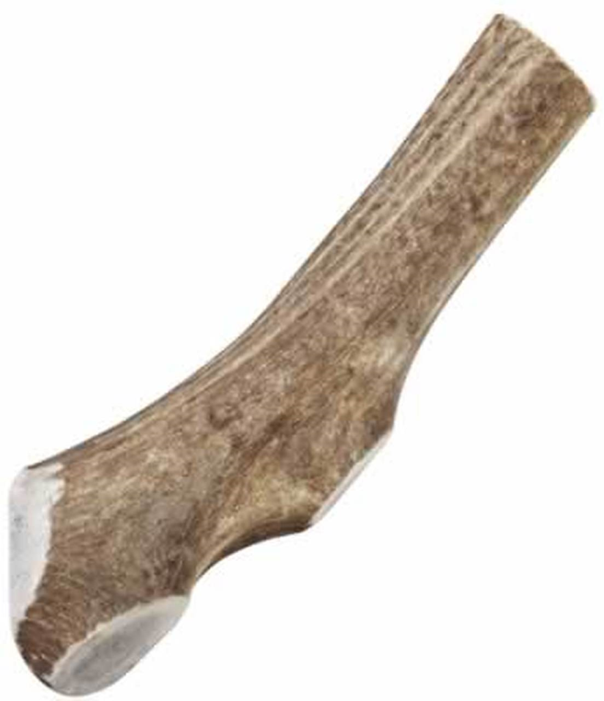 Happy Dog of Cape Cod Sliced Elk Antler Dog Treats, XX-Large