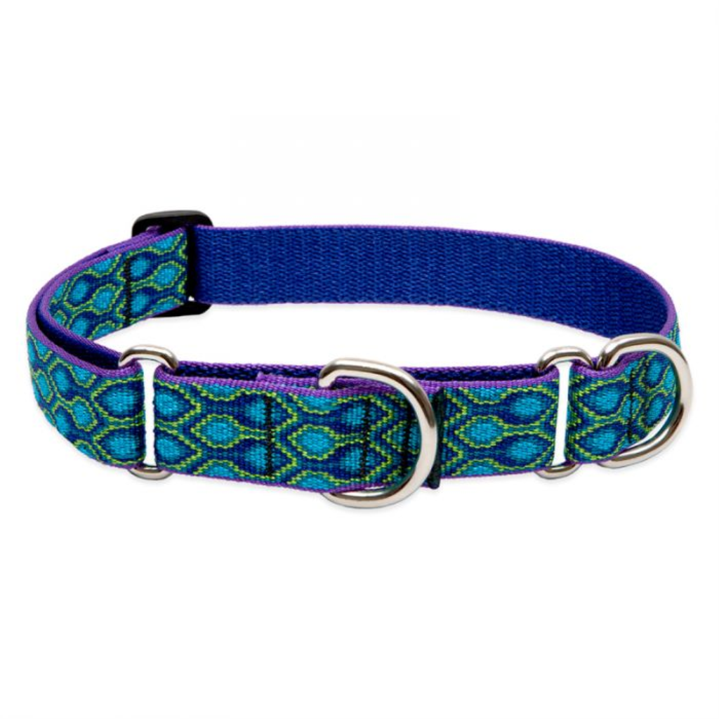 Lupine Pet Original Designs Martingale Dog Collar, Rain Song, 1-in x 15-22-in