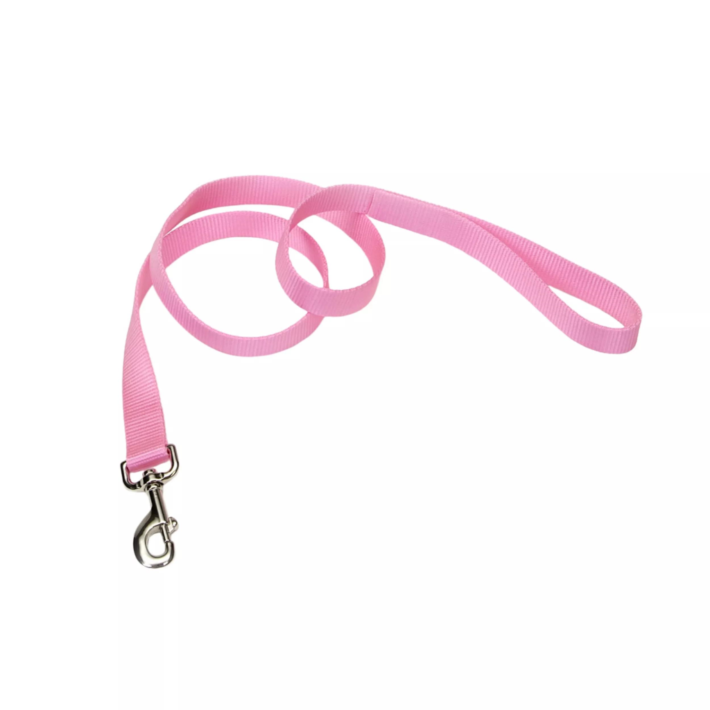 Coastal Single-Ply Dog Leash, Pink Bright, 5/8-in x 6-ft