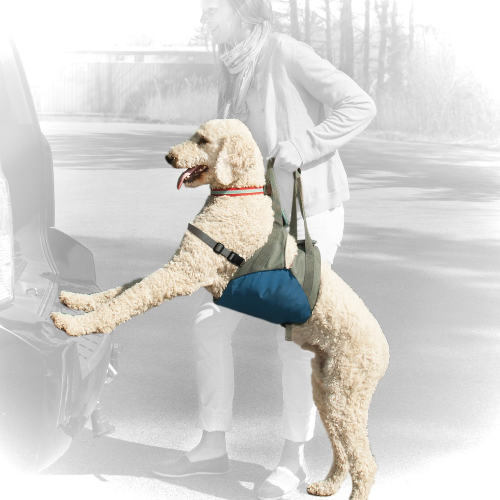 Kurgo Up & About Dog Lifter