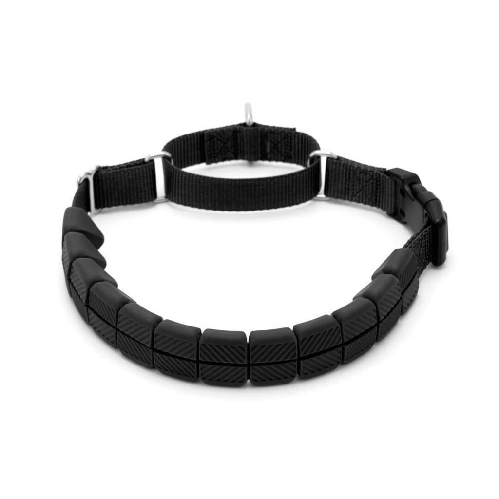 PetSafe Soft Point Training Dog Collar, Black, Large