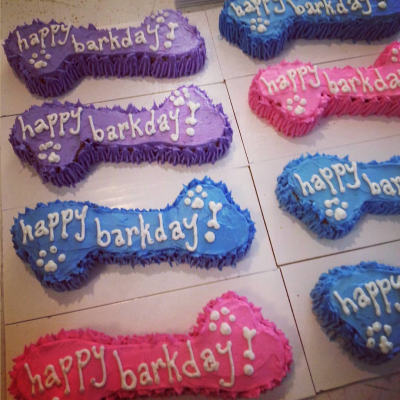 Birthday Cake Bone Pink or Blue