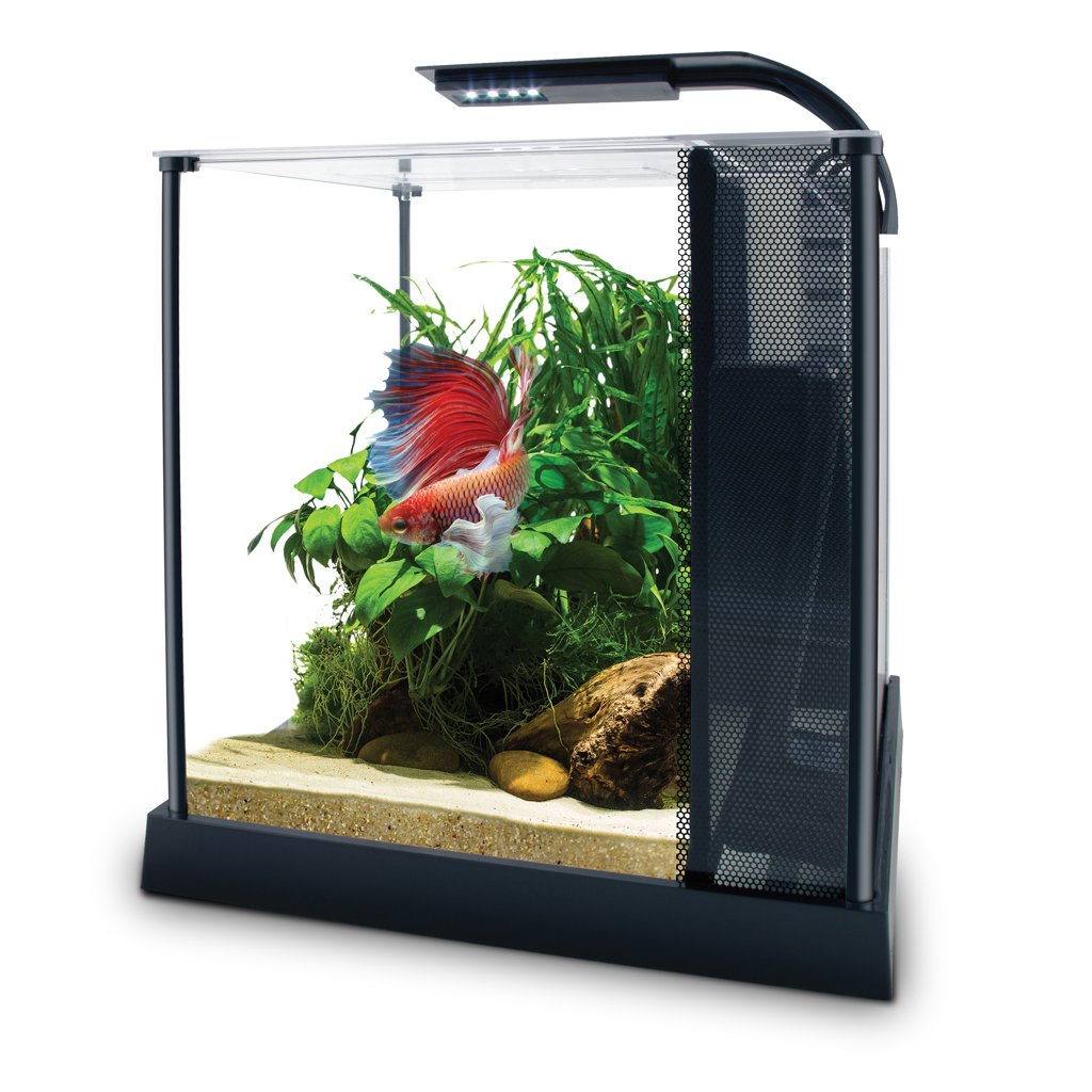 Betta Premium Aquarium Kit, 2.6 US Gal / 10 L