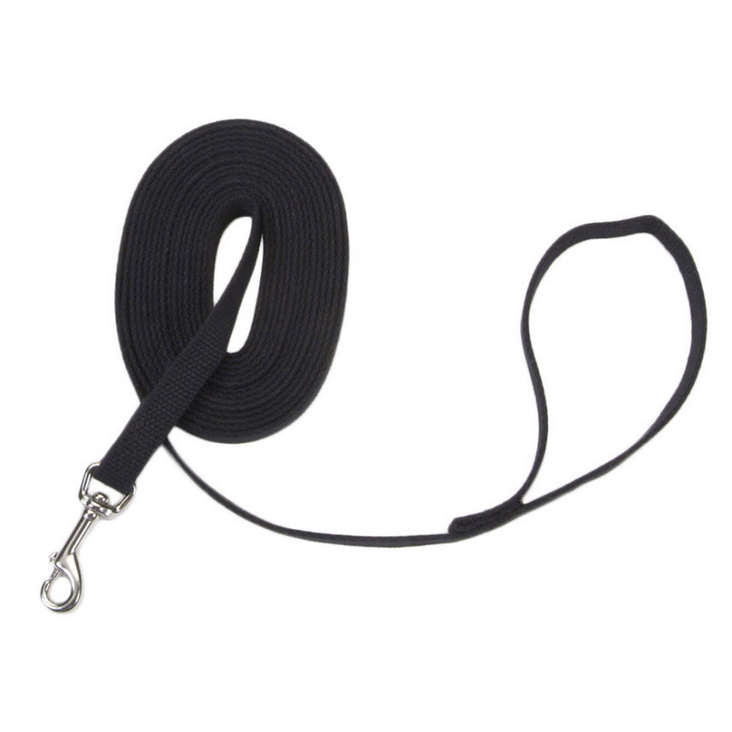 Coastal Train Right! Cotton Web Training Dog Leash, Black, 30-ft