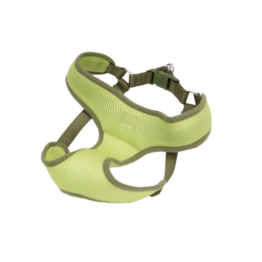 Coastal Comfort Soft Wrap Adjustable Dog Harness, Lime, 1-in x 28-in-36-in