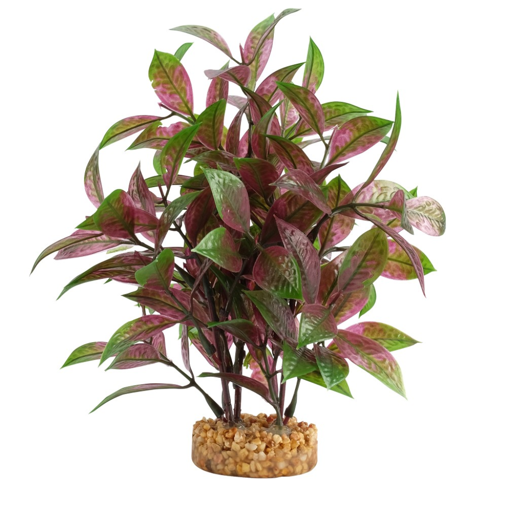 Fluval Aqualife Broad Leaf Red Ludwigia, 8-in