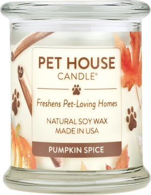 Pet House Candle Pumpkin Spice Large