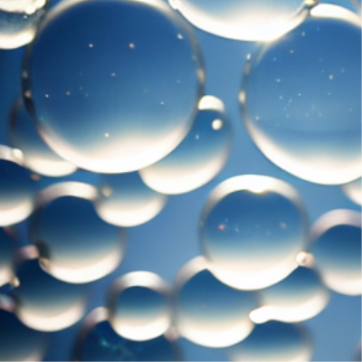 17 - Shampoo & Towel Dry Only (no haircut)