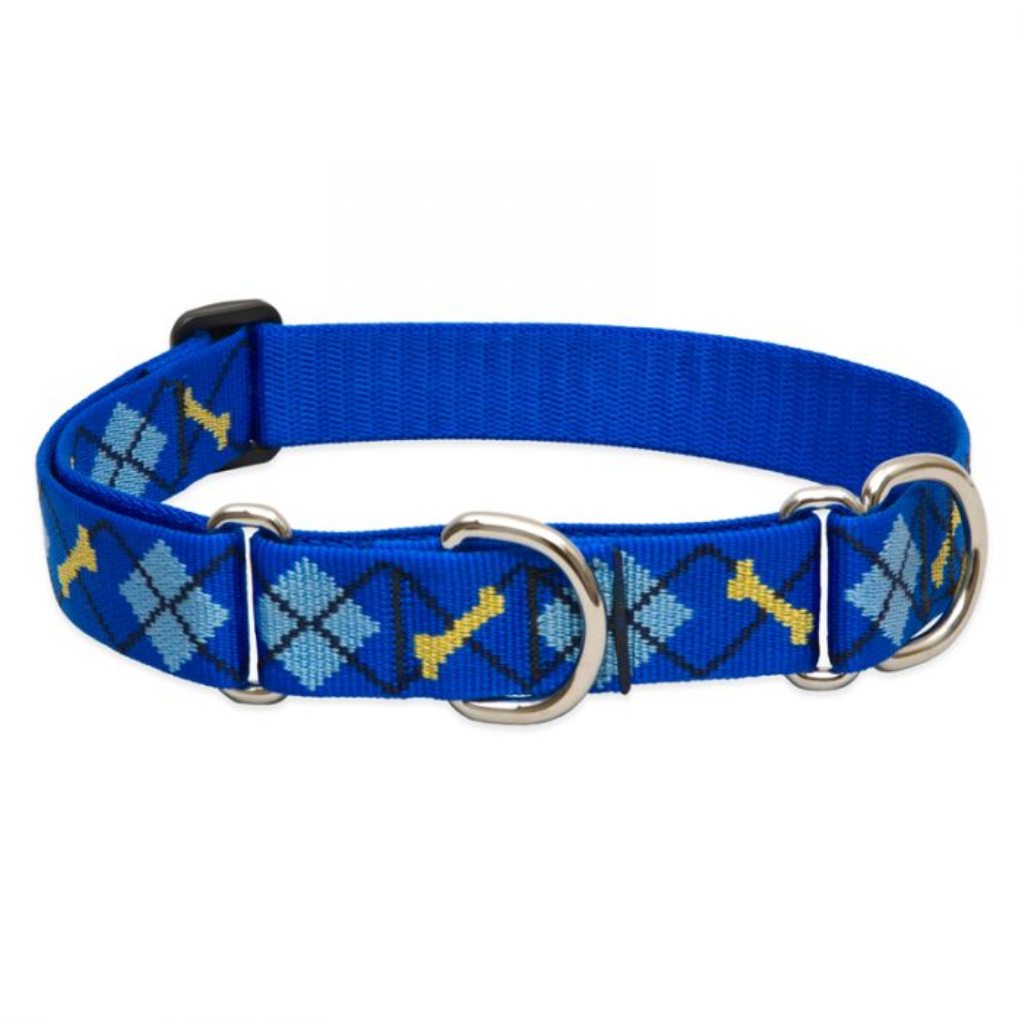 Lupine Pet Original Designs Martingale Dog Collar, Dapper Dog, 1-in x 19-27-in