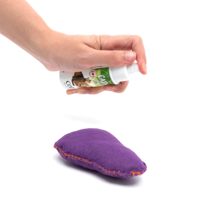 Product preview