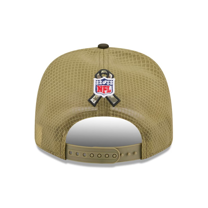 Detroit Lions Salute to Service 2025 Khaki and Dark Olive 9Seventy Stretch Snap