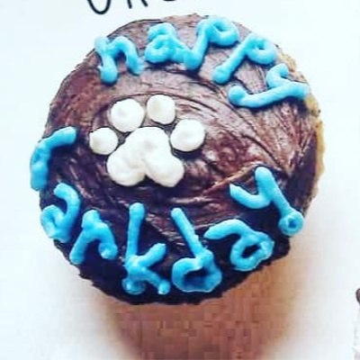Birthday Cupcake Pink, Blue or White