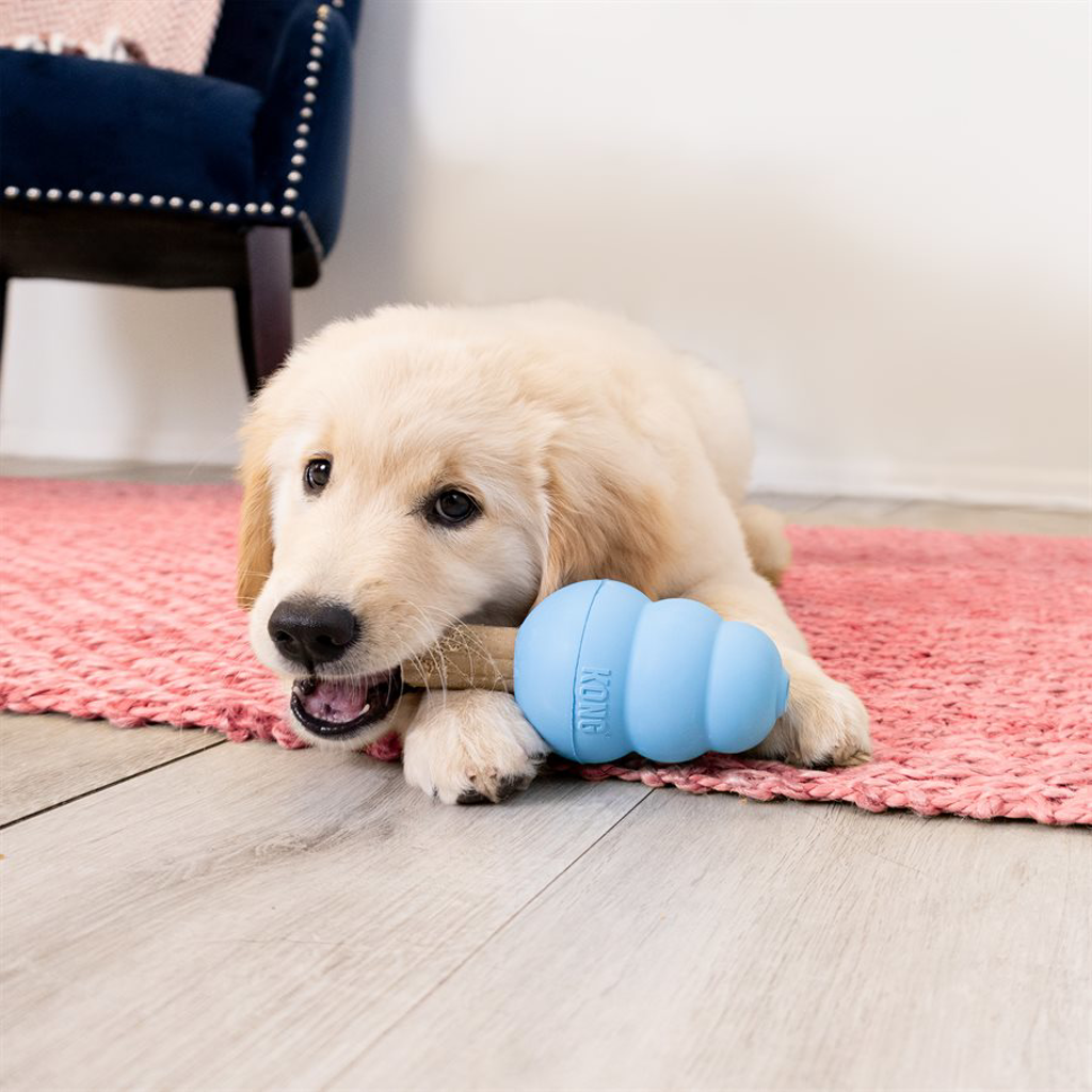 KONG ZIGGIES ENHANCED TRT PUP M/L 8Z