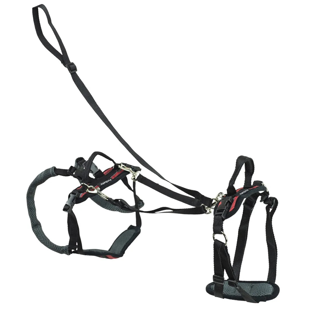 PetSafe CareLift Full Front & Back Lifting Aid Mobility Dog Harness, Small