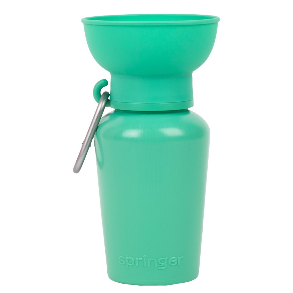 Springer Flip Dog Travel Bottle, Green, 20-oz