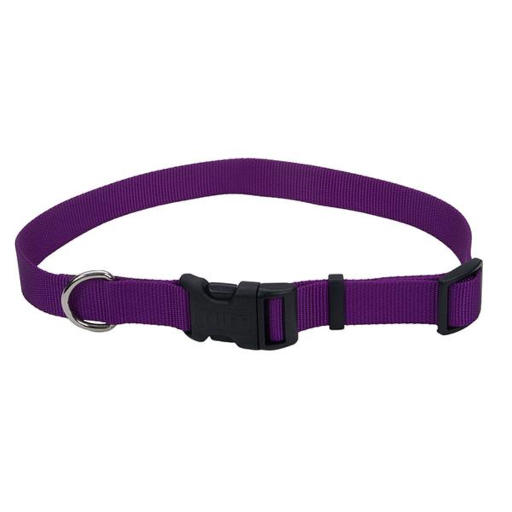 Coastal Adjustable Nylon Collar with Tuff Buckle for Dogs, Purple, 3/4-in Nylon x 14-in-20-in Neck Girth