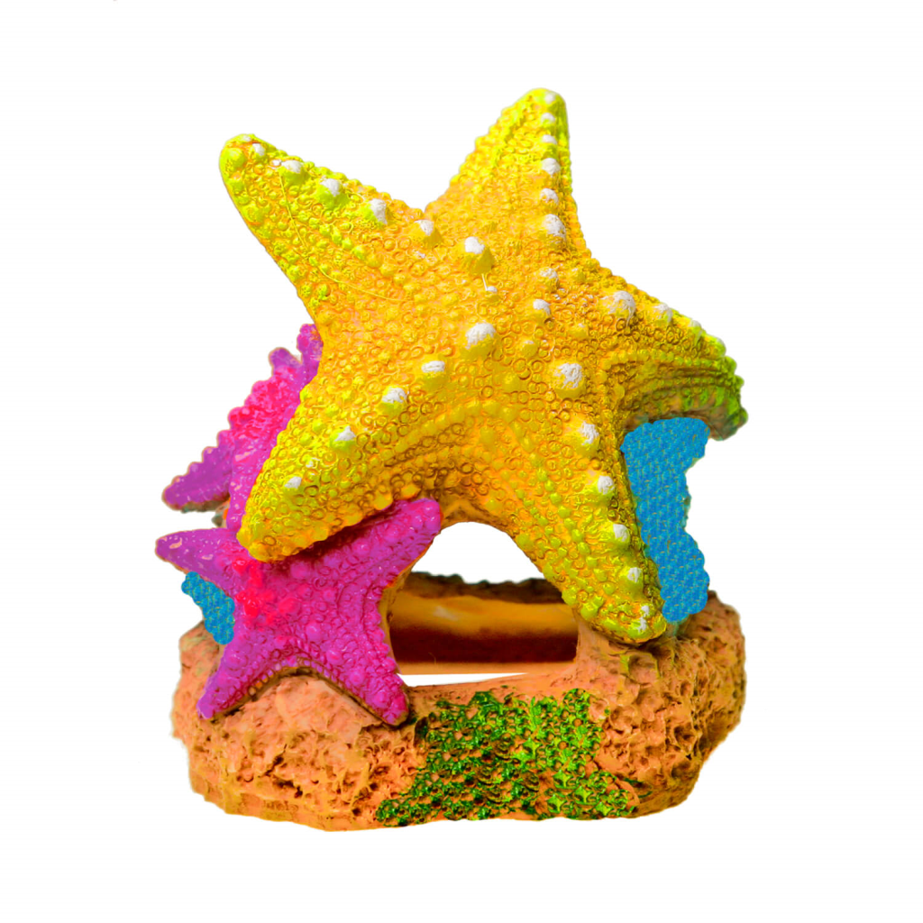 Blue Ribbon Exotic Environments Sea Star Duo Aquarium Ornaments