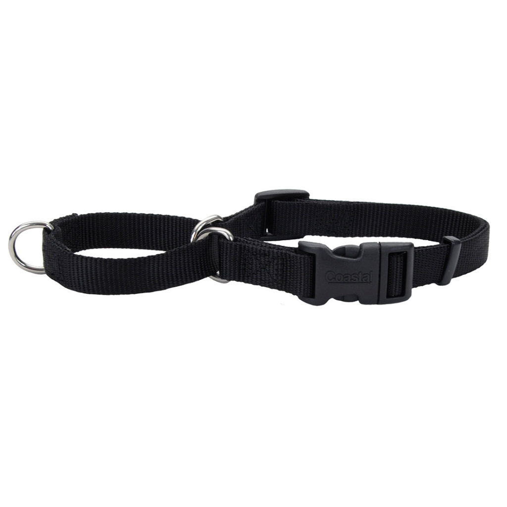 No Slip Martingale Adjustable Dog Collar with Buckle, Black, 3/4-in x 18-in-22-in