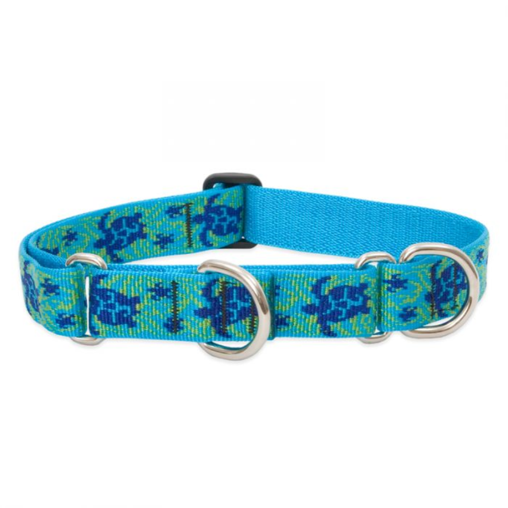 Lupine Pet Original Designs Martingale Dog Collar, Turtle Reef, 1-in x 19-27-in