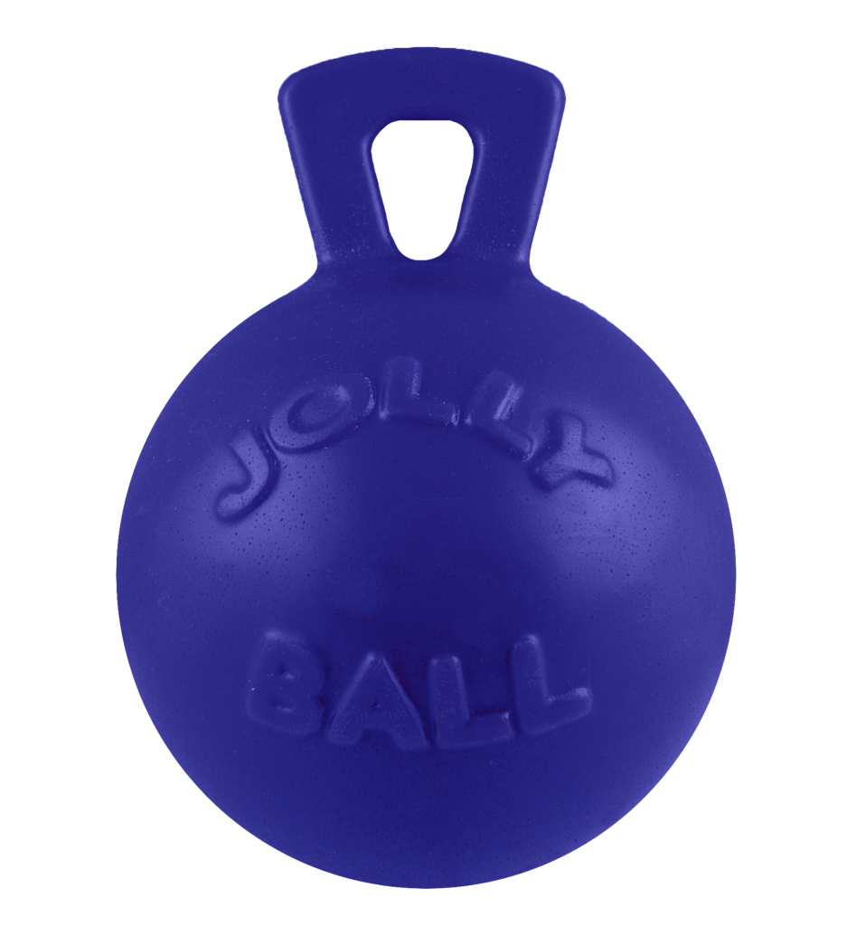Jolly Pets Tug-n-Toss Dog Toy, Blue, 6-in