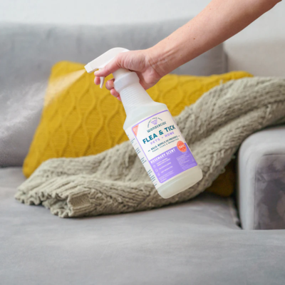Product preview