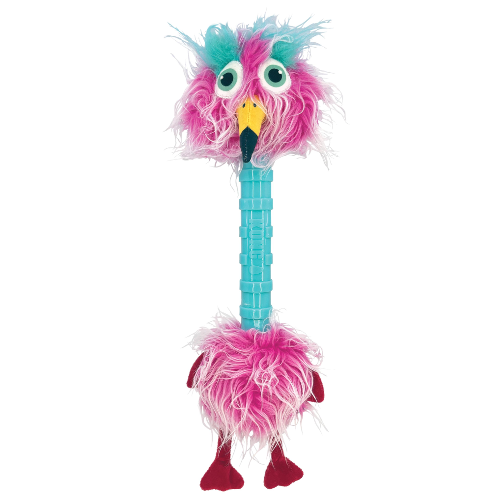 KONG Cruncheez Stretch Birds Dog Toy, Assorted, X-Large