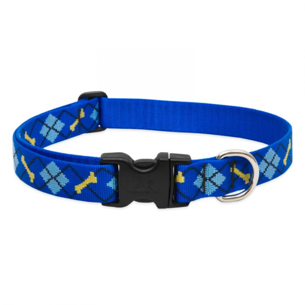 Lupine Pet Original Designs Adjustable Dog Collar, Dapper Dog, 1-in x 12-20-in