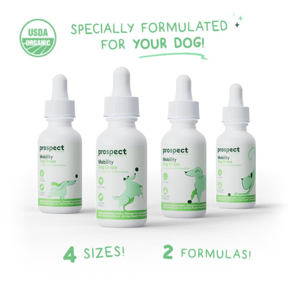 Prospect Pet Wellness Mobility Salmon Formula Drops for Medium Dogs, 1-oz