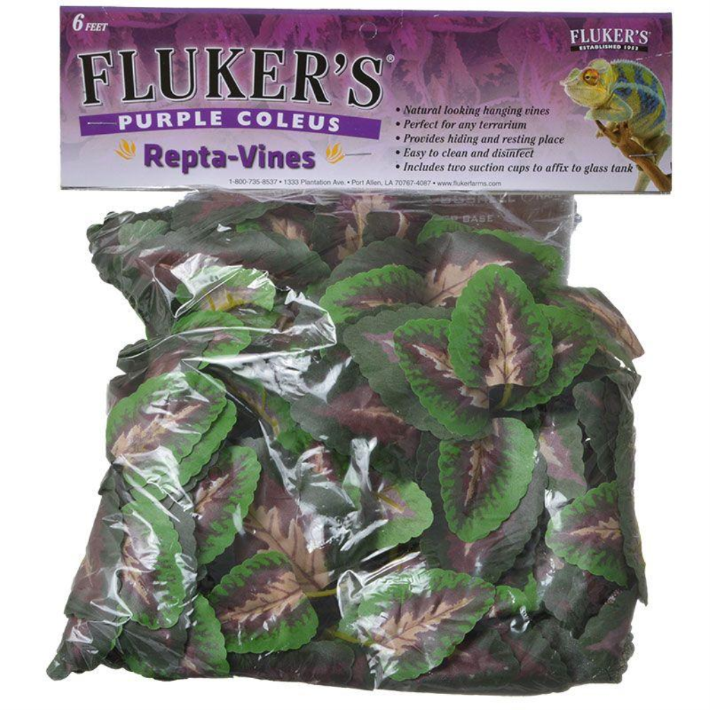 Fluker's Purple Coleus Repta-Vine Terrarium Plant, 6-ft