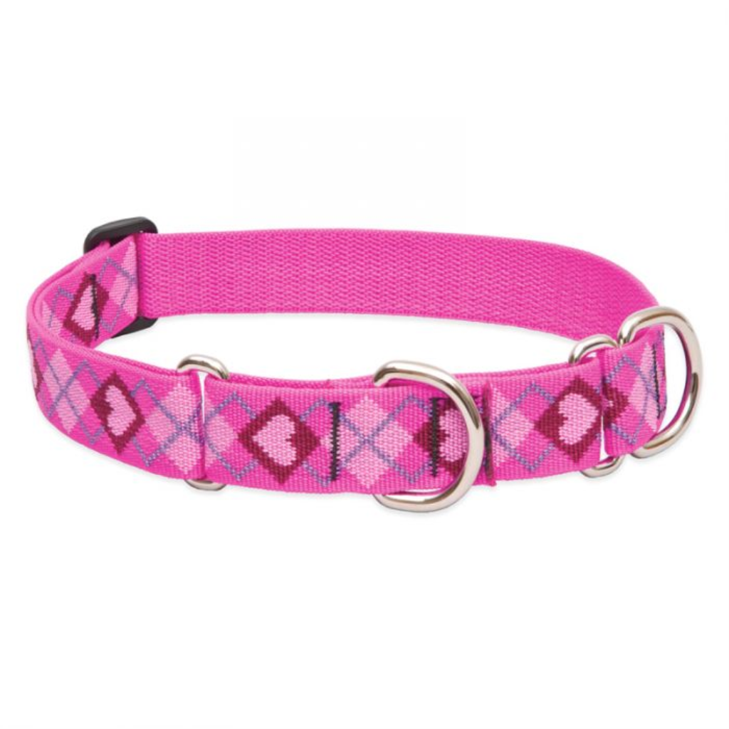 Lupine Pet Original Designs Martingale Dog Collar, Puppy Love, 1-in x 15-22-in