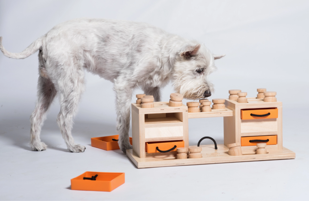 My Intelligent Pets - Two Towers - Intelligent Dog Game
