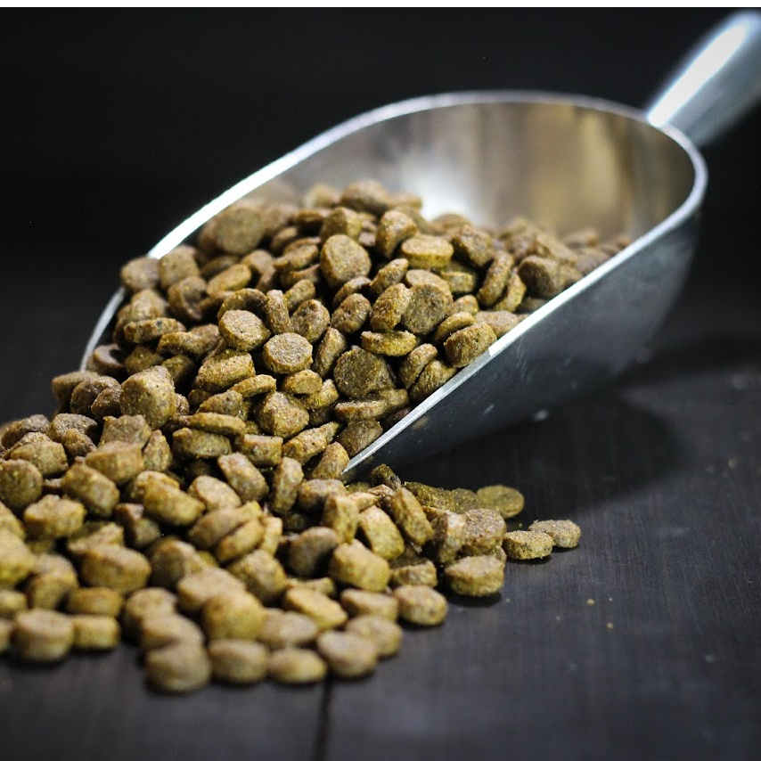 Shop Pet Wants South Hills