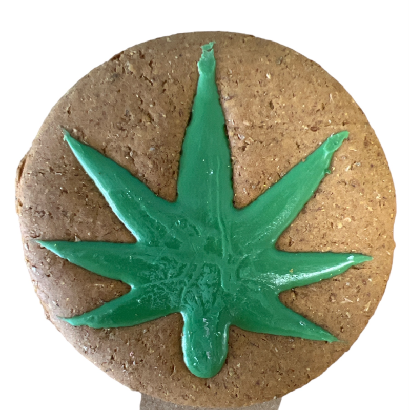 Preppy Puppy Bakery Leaf Iced Cookie