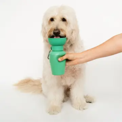 Product preview