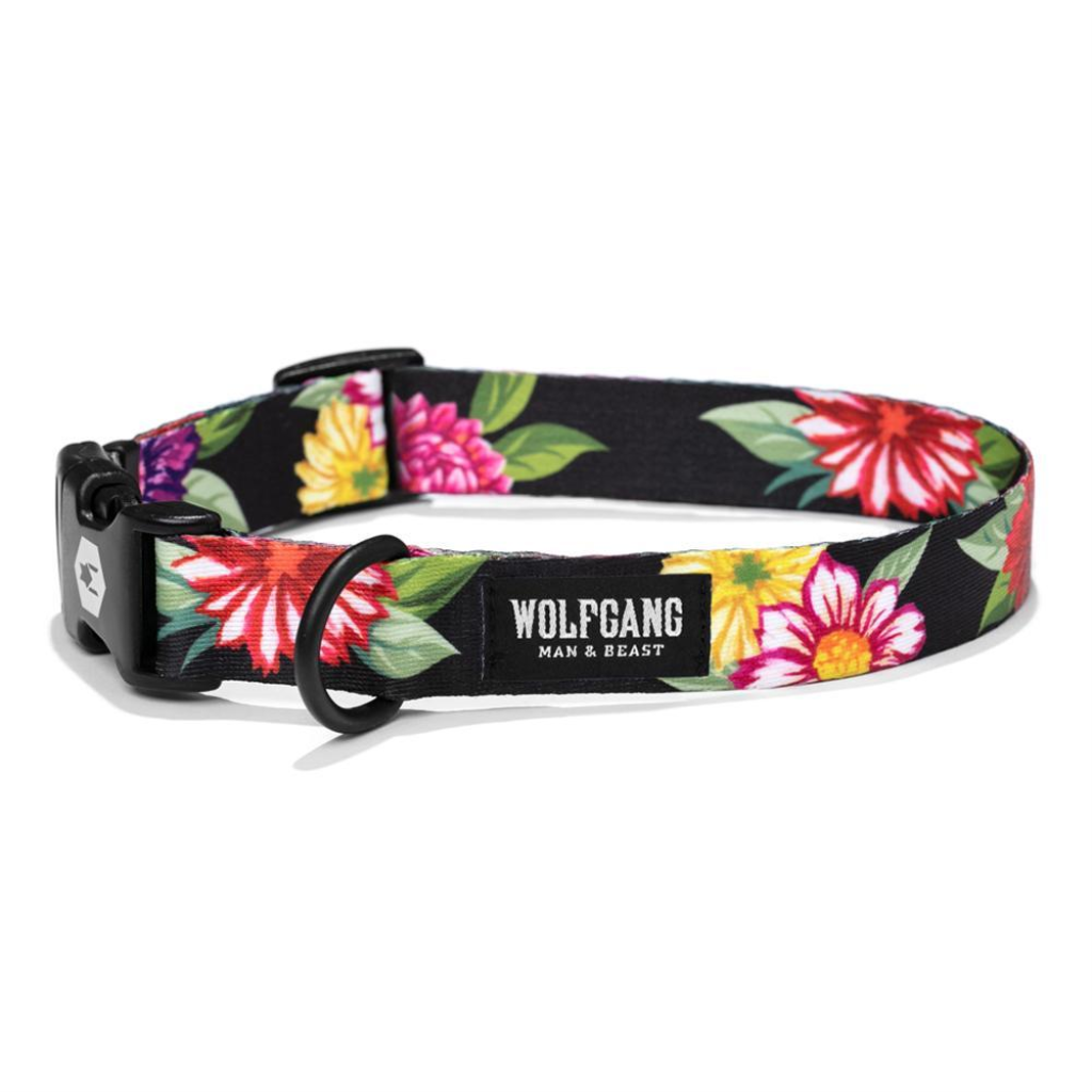 Wolfgang Dog Collar, DarkFloral, Small (5/8-in x 8-12-in)